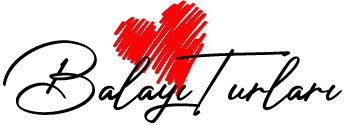 Balayı Turları logo